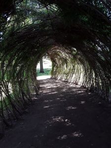 Light at the end of the tunnel